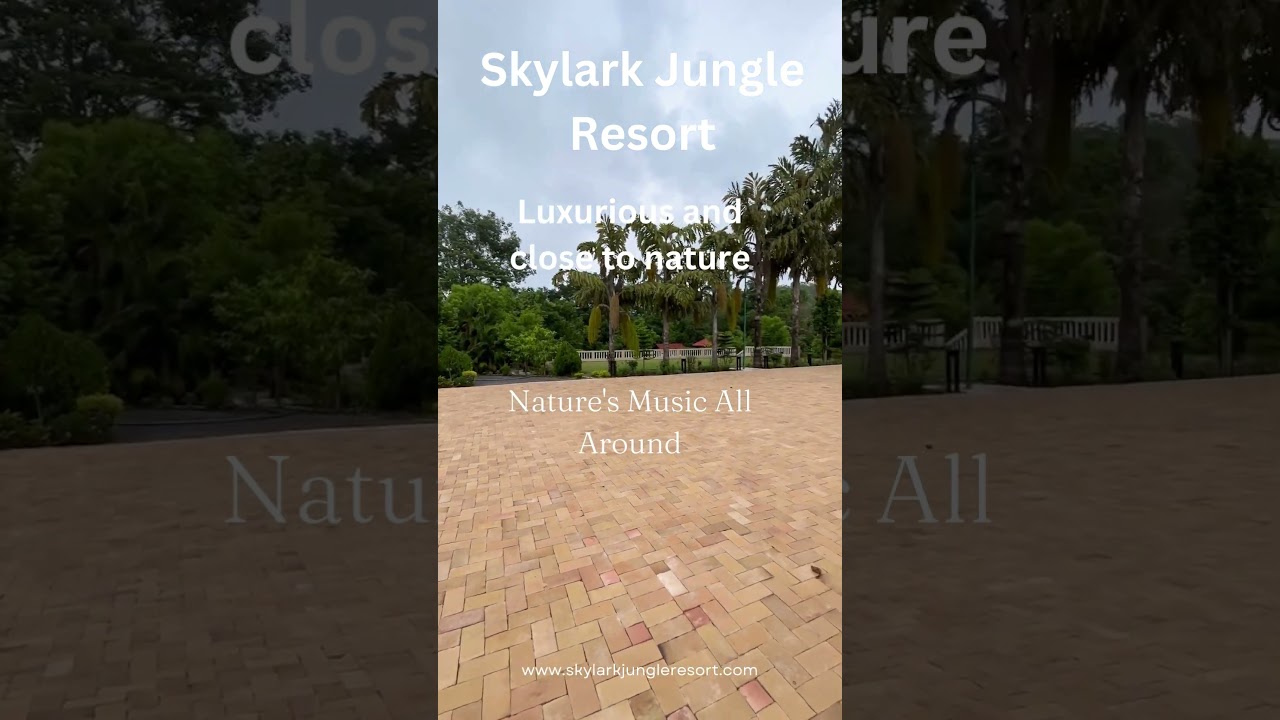 Skylark Jungle Resort