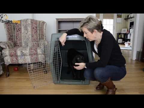 How to Crate Train Your Dog