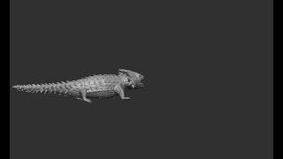3D Armadillo Girdled Lizards  |  Zbrush Modeling