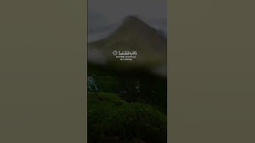 ( وهو معكم أين ما كنتم والله بما تعملون بصير ) الهدوء والسكينة⁦☺️⁩_القارئ⁦🎙️⁩ شريف مصطفى