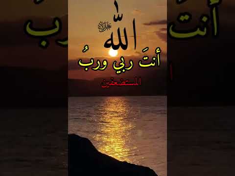 اللهم إني أشكو اليك ضعفي وقلة ح لتي وهواني علی الناس أنت ربي ورب المسنضعفين
