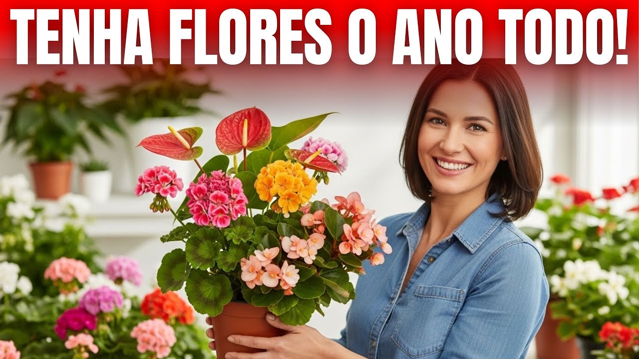 Descobri As 10 Plantas Que Nunca Pararam de Floresce