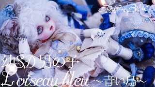 ドール　幼SD ウィッグ 6〜7インチ　スーパードルフィー モヘア　リボン