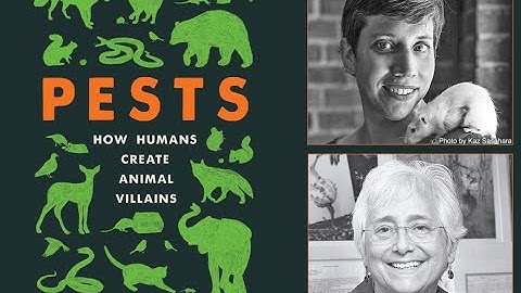 Bethany Brookshire, in conversation with Harriet Ritvo, "Pests: How Humans Create Animal Villains"