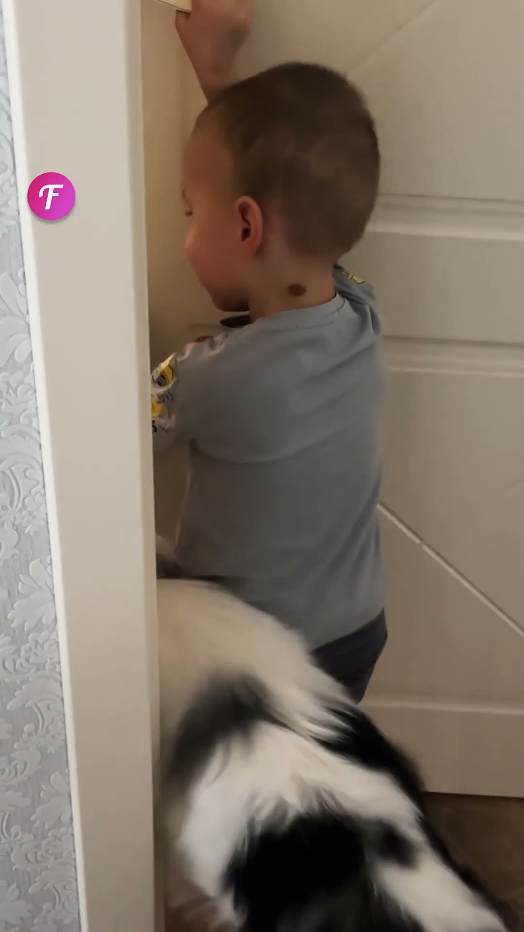 Smart Pup Helps Baby Escape! #shorts