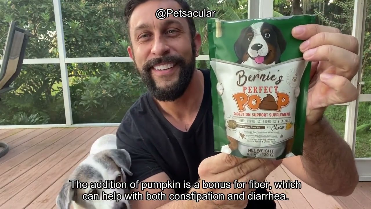 Perfect Poop Digestion Supplement for Dogs Review: Does It Really Improve Digestive Health?