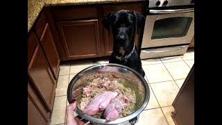 can dogs eat pig meat