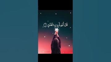 #سورة_الفلق #احمد_العجمي #القرآن_الكريم #اكسبلور #pourtoi #foryou
