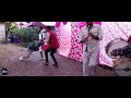 Nagin Dance Dance 🥳 | Dhol Dance Video | #kangra #dhol #fillodjfloor #himachal Mp3 Song