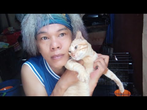Binabawalan ko Silang lumabas dahil maulan