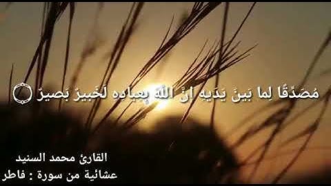 عشائية من سورة فاطر للقارئ محمد السنيد