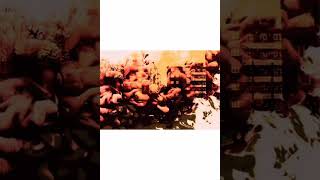 Foxcodeuk - A Better Placeoriginal Mix 2021