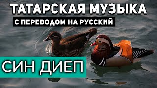 Татарские песни с переводом на русский I Син диеп I Зинира һәм Айгиза Рамазановлар