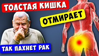 14 Признаков того, что Толстая КИШКА ОТМИРАЕТ! 90% даже НЕ Догадываются...