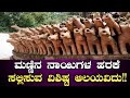 ಮಕ್ಕಿ ಶಾಸ್ತಾವು ದೇವಸ್ಥಾನ | ಬೇತು ಗ್ರಾಮ | ನಾಪೋಕ್ಲು | ಕೊಡಗು | Makki Shasthavu temple | Napoklu | Kodagu