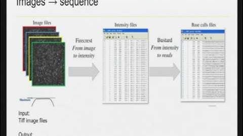 Lecture II - Basics of sequencing and principles for bioinformatics