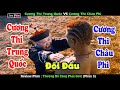 Cng thi trung quc u cng thi chu phireview phim thng  cng phi ci phn 3