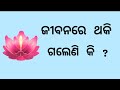 True lines for better life       odia motivational  odia nitibani