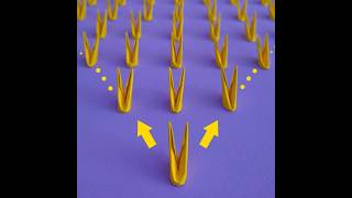 Learn 3D Origami Basic Folds You Need To Know