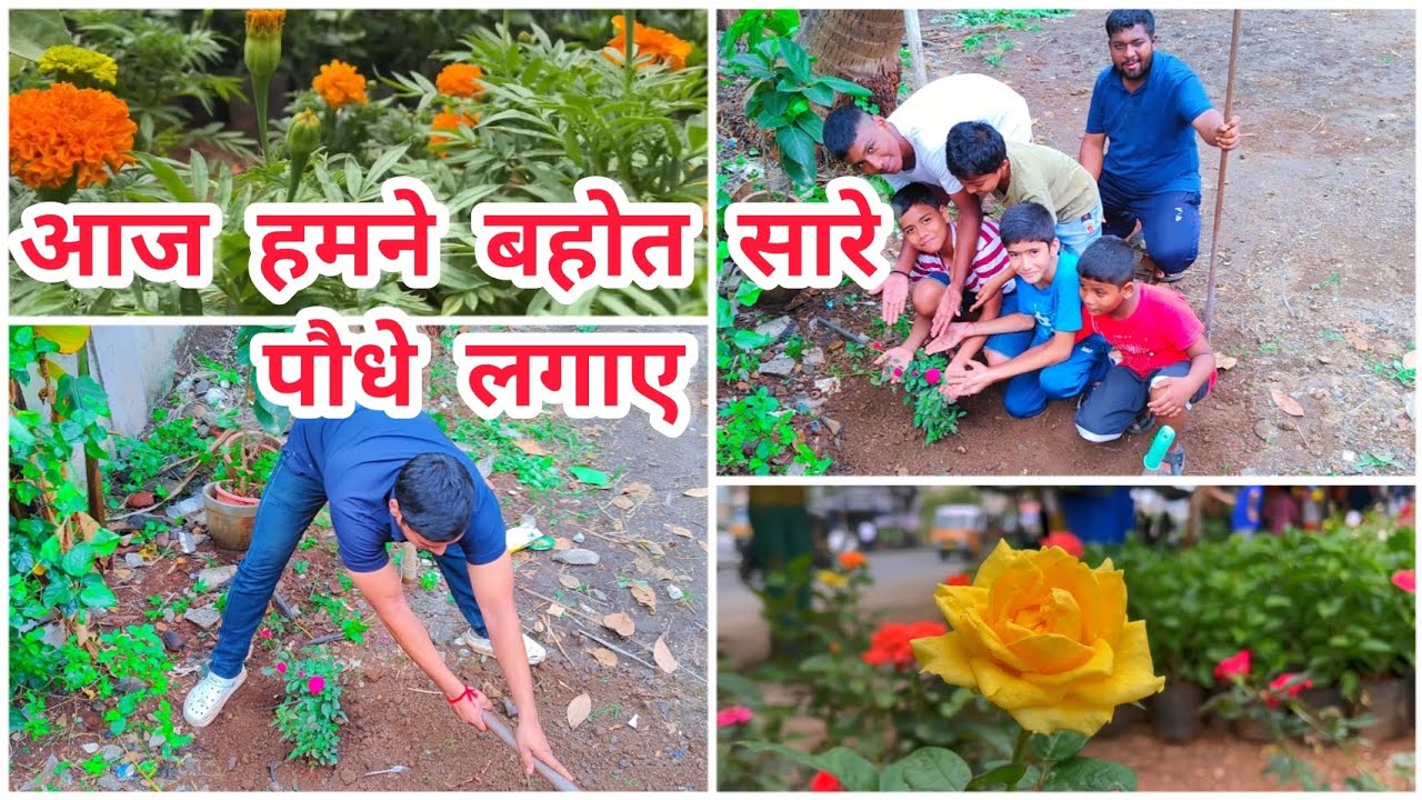 आज हमने बहोत सारे पौधे लगाए अपने बगीचे में। We plant different types of flowers🌸 || @manyavlogs02