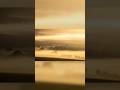 Bodennebel zum SONNENAUFGANG in Rheinhessen fotografieren #landscapephotography #natur