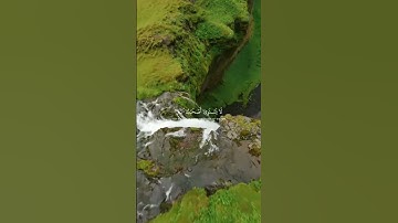 قران كريم بصوت الشيخ ياسر الدوسري #قران_كريم #قرآن #ارح_قلبك #راحة_نفسية