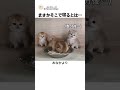 まさかそこで寝るとは…
