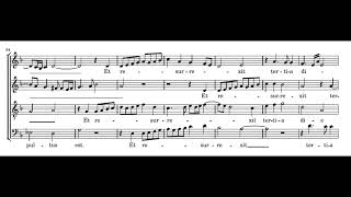 Palestrina: Missa Viri Galilaei - Credo - Herreweghe
