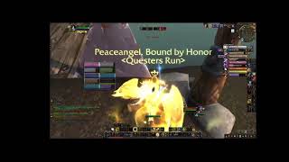 Holy Paladins are the toughest healers in World of Warcraft