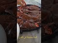 كبدة مشوية في الفرن كبش العيد بنتها هبال كبدة مشوية في الفرن كبش العيد بنتها هبال