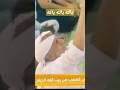 يناجى ربه وكأنه يراه