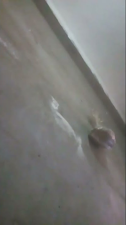 ٢٩ أكتوبر، ٢٠٢١