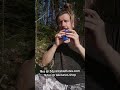 tune in The woods - added reverb #compact #travel #flute #3dprinting