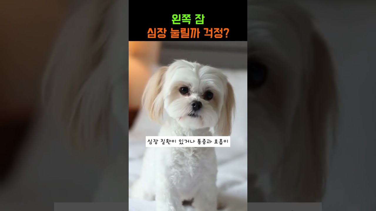 왼쪽으로 자면 심장 눌릴까? - Does sleeping on your left side press on your heart?