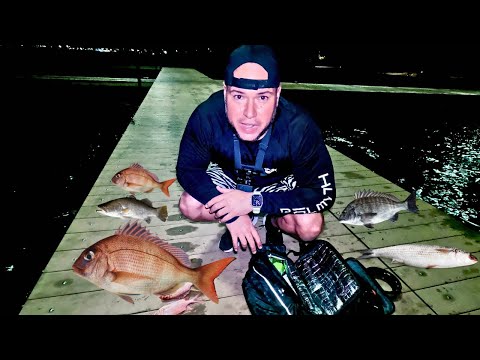 Night Fishing at the Pier (Catch Multiple Fish) EP 08