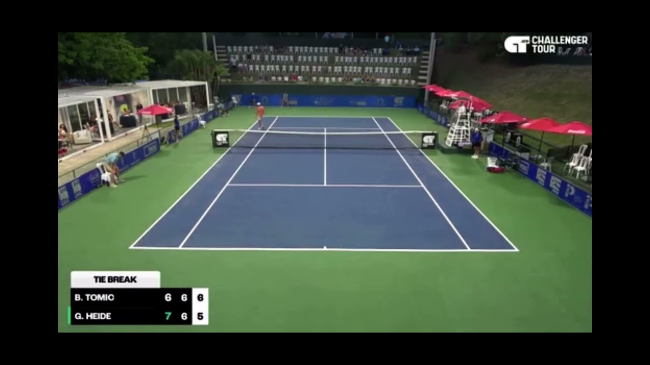 GOAT stuff from Bernard Tomic on set point! 🐐🐐🐐 - YouTube