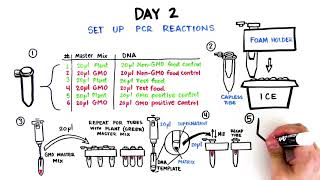 GMO Investigator Kit Student Activity Video Quick Guide