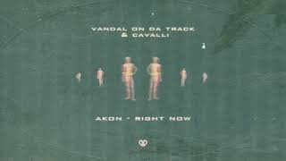 Akon - Right Now (Vandal On Da Track & CAVALLI Remix) [DropUnited Exclusive] Resimi