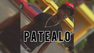 El Moyeto 302 - Patealo