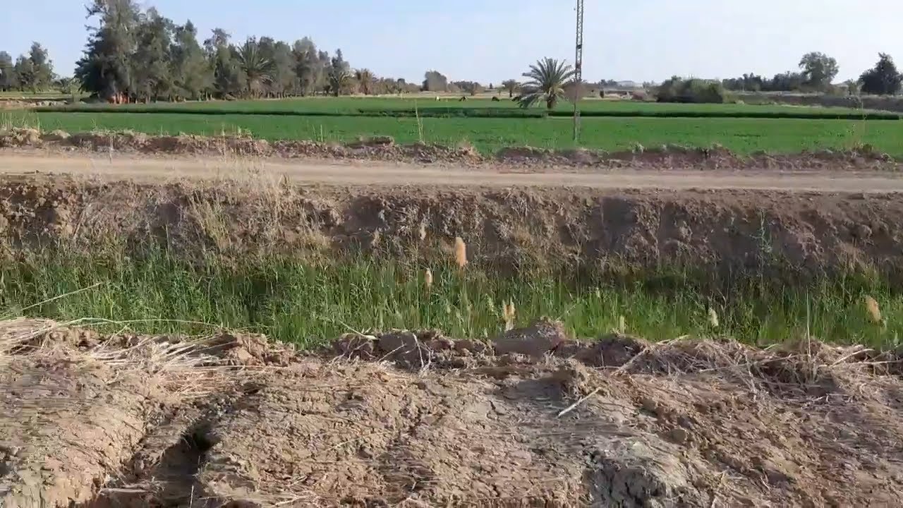 جولة فى قرى النهضه بالفرافره الوادى الجديد