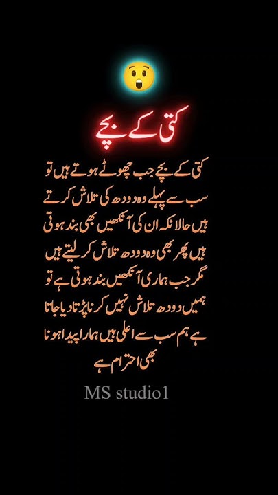 quotes-in-urdu-islamicquotes-in-urdu-urdu-best-quotes-islamic-in-urdu