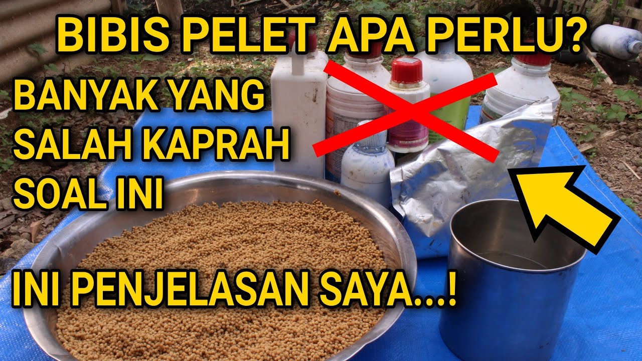 BAHAS TUNTAS SOAL BIBIS PELET