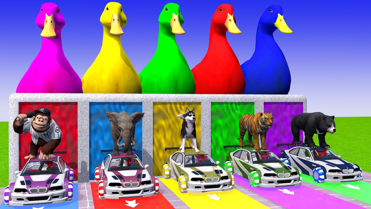 Long Slide Game With Cow Elephant Gorilla Hippopotamus Tiger - 3d Animal Game - Funny 3d Animals