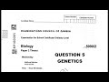 2019 Biology p2 Internal Grade 12 #2019 #biology #genetics