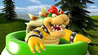 Bowsers Typical Day?