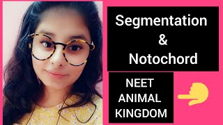 Segmentation & Notochord ( ANIMAL KINGDOM) / NEET preparation / NEET preparation in Hindi