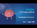 Sesión - Gimnasia cerebral