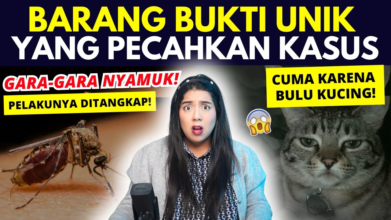 BARANG BUKTI UNIK yang BERHASIL PECAHKAN KASUS!