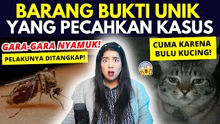 Download Lagu BARANG BUKTI UNIK yang BERHASIL PECAHKAN KASUS! MP3 Download Lagu BARANG BUKTI UNIK yang BERHASIL PECAHKAN KASUS! MP3
