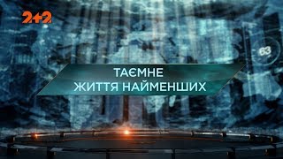 Таємне життя найменших  - Загублений світ. 2 сезон. 91 випуск